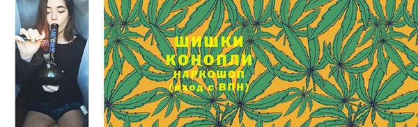 дурь Белокуриха